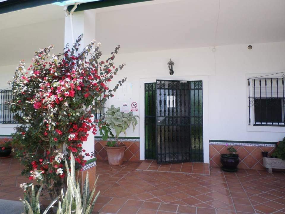 Hostal Restaurante La Ilusion El Palmar  Exteriér fotografie